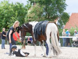 IMG_7889_web